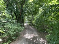 Budakeszi 土地 3