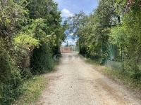 Budakeszi 土地 4