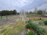 Ács 家庭别墅 13