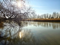 Dunaharaszti Family House 22