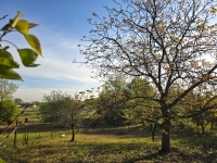 Dunaharaszti 土地 1