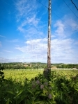 Eladó telek Őrbottyán, 3931m2