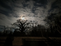 Szigetmonostor Családi ház 6