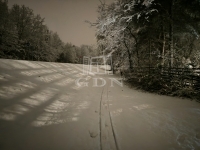 Szigetmonostor Családi ház 8