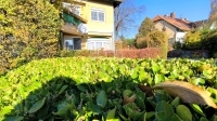 Budapest III. kerület Wohnung (Ziegel) 14