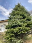 Vác 夏季别墅 12