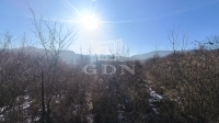 Dunabogdány 夏季别墅 1