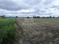 Pócsmegyer Landwirtschaftliche Flächen 1