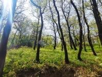 Érd Teren pentru constructii 5