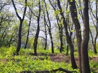 Érd Teren pentru constructii 6