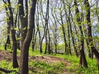 Érd Teren pentru constructii 7