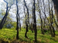 Érd Teren pentru constructii 9