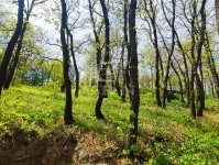 Érd Teren pentru constructii 8