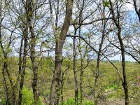 Érd Teren pentru constructii 4