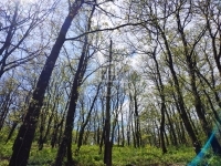 Érd Teren pentru constructii 2