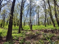 Érd Teren pentru constructii 1