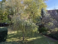 Budapest XI. kerület Locuinta (caramida) 36