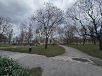 Budapest XV. kerület Locuinta (panel) 12