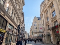 Budapest V. kerület Wohnung (Ziegel) 21