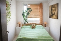 Budapest XIV. kerület Flat (panel) 11