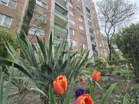 Budapest IV. kerület Flat (panel) 19