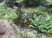 Budapest XXII. kerület Family House 19