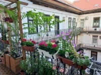 Budapest VII. kerület Wohnung (Ziegel) 1