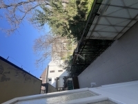 Budapest XIII. kerület Lakás (téglaépítésű) 1