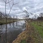 Nagyigmánd Agricultural area 1