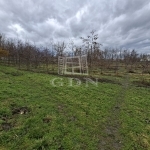 Nagyigmánd Agricultural area 3