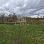 Nagyigmánd Agricultural area 4