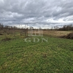 Nagyigmánd Agricultural area 5