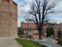 Budapest II. kerület Wohnung (Ziegel) 22