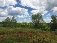 Budapest XVI. kerület 家庭别墅 13