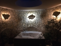 Budapest XVI. kerület 家庭别墅 4