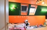 Gyömrő 家庭别墅 10