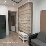 Budapest IX. kerület Wohnung (Ziegel) 1