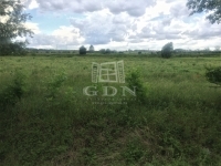 For sale building lot Tárnok, 6000m2