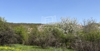 For sale building lot Budakeszi, 2068m2