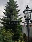 Gödöllő 家庭别墅 15