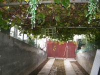 Budakeszi Building lot 8