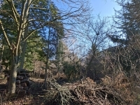 Budakeszi Telek 3