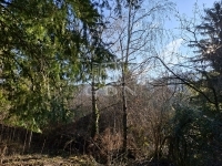 Budakeszi Telek 2
