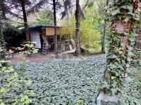 Szigetújfalu Family House 17