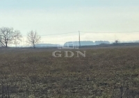 Tököl Telek 2
