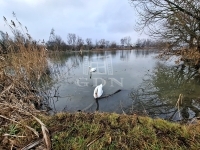 Budapest XXIII. kerület Casa Familiala 24