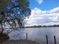 Ráckeve Casa Familiala 18