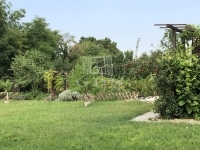 Tököl Einfamilienhaus 38