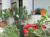 Tököl Einfamilienhaus 37