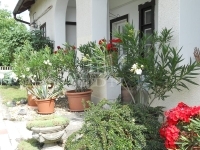 Tököl Einfamilienhaus 34